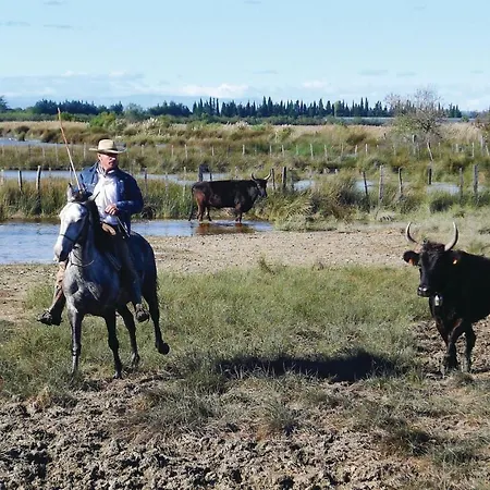 Vakantiehuis 3 Bedroom In *